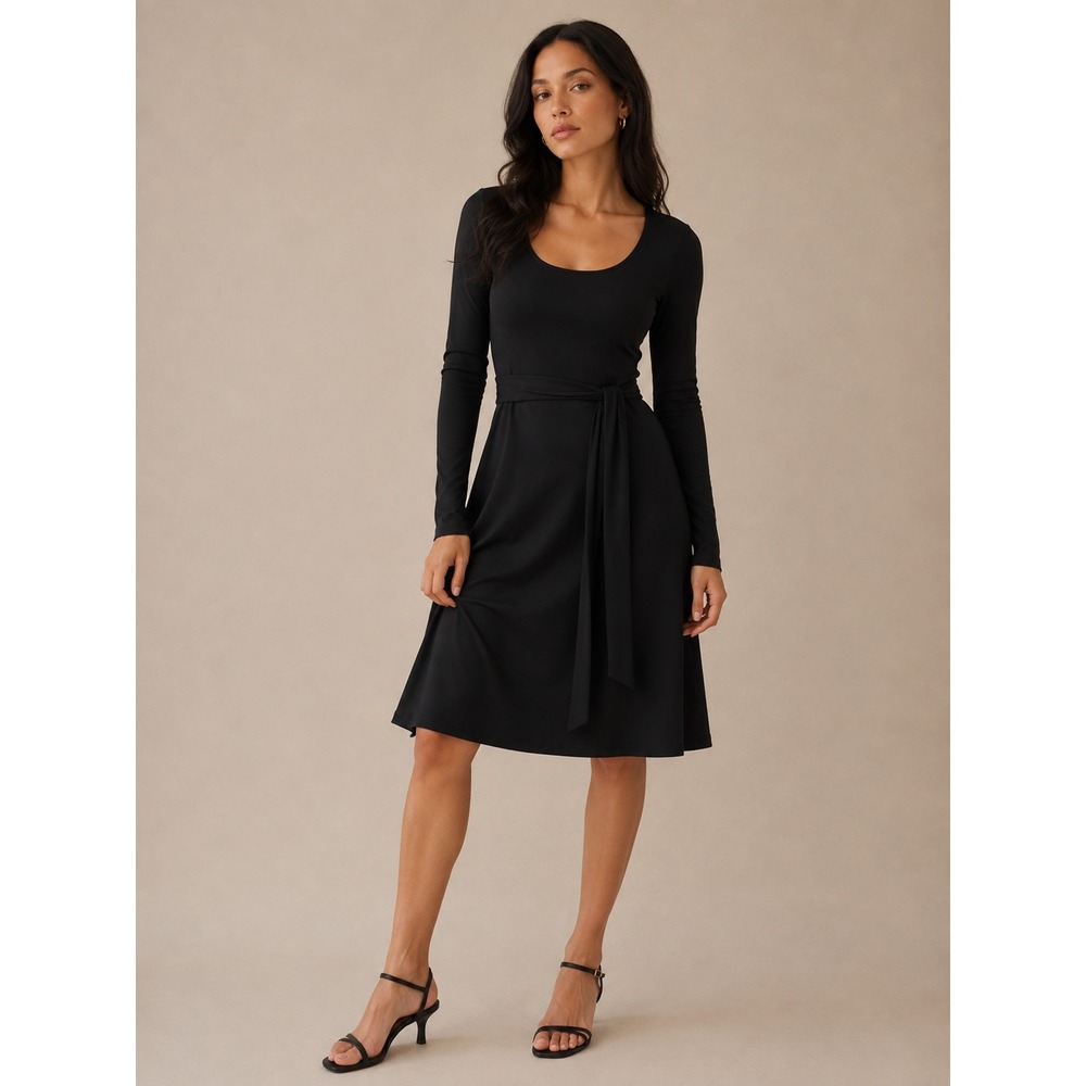 Pact Organic Cotton Long Sleeve Scoop Neck Belted Fit Flare Dress Black Small